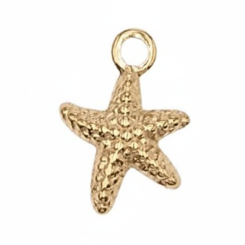 Pendentif étoile de mer